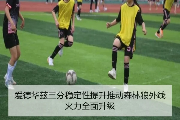 爱德华兹三分稳定性提升推动森林狼外线火力全面升级